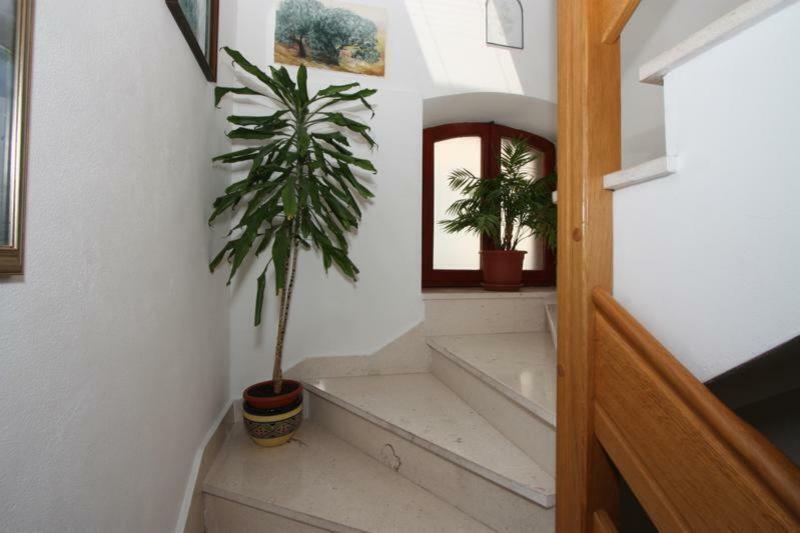 Marjan Apartment & Rooms สปลิท ภายนอก รูปภาพ